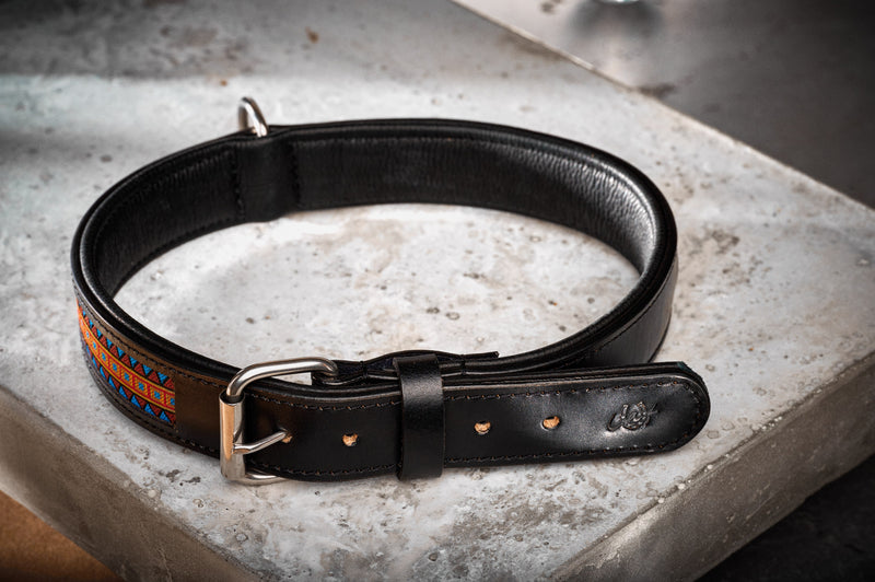 Dog collar Summer of Love