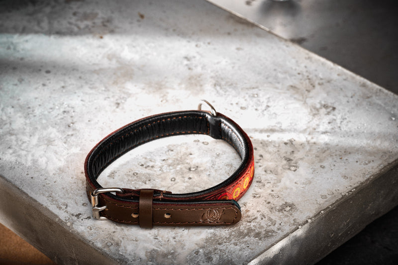 Dog collar Golden Gate