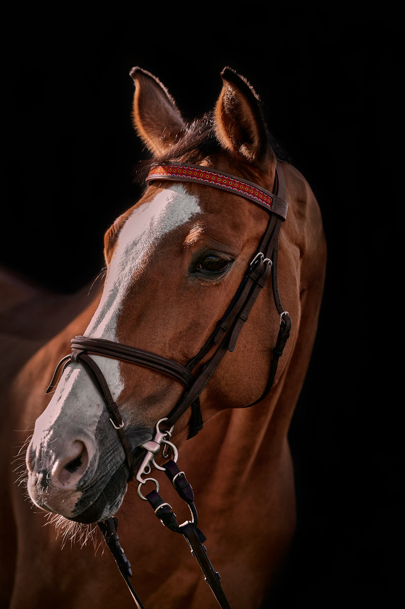 Horse browband San Francisco Renaissance