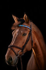 Horse browband Age of Aquarius