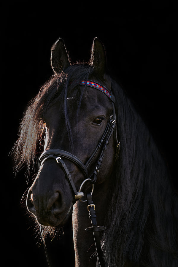 Horse browbands Easy Living