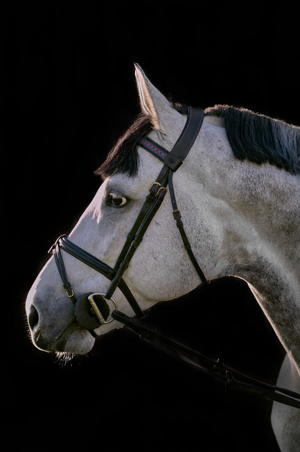 Horse browband Woodstock