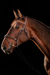 Horse browband Summer of Love